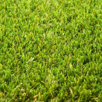 Artificial Turf Products